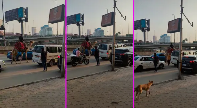 Miles de usuarios pensaron que la ciudad era Lima, Perú. Miles de usuarios pensaron que la ciudad era Lima, Perú.