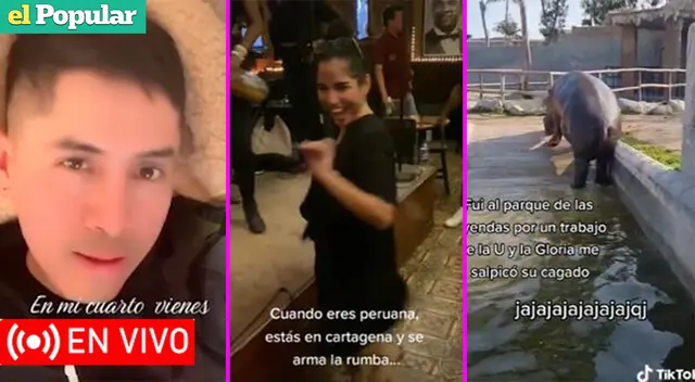 Los TikToks virales de hoy 10 de noviembre