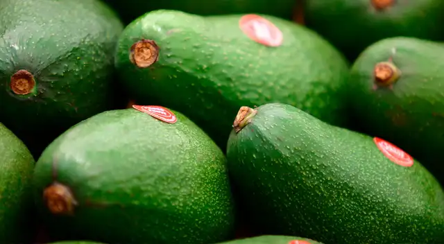 Producción de la palta fuerte fue afectada por el fenómeno La Niña, dice APYD.