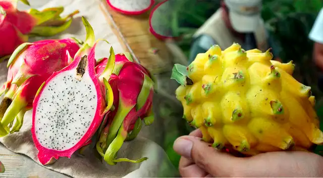Descubre los beneficios de comer pitahaya y cuáles son sus nutrientes