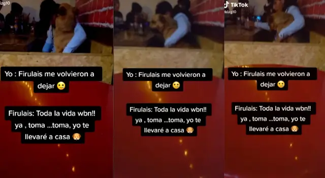 Firulais demostró ser incondicional con su amo. Firulais demostró ser incondicional con su amo.