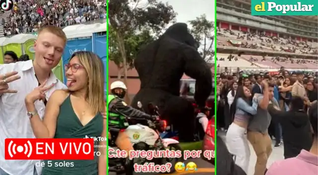 Los vídeos virales de TikTok HOY miércoles 16 de noviembre. Los vídeos virales de TikTok HOY miércoles 16 de noviembre.