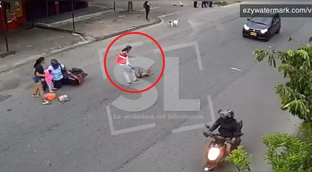 El hombre se levantó y pateó cruelmente al perrito que ya estaba gravemente herido en la pista en Colombia.