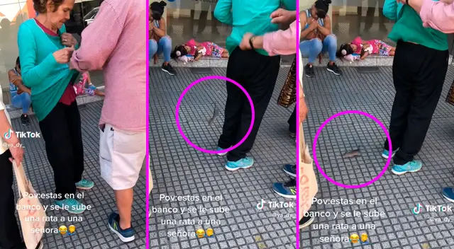 La señora se percató que el roedor estaba recorriendo su cuerpo.