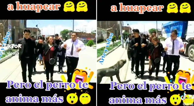 El perro se roba el show en medio de la fiesta.