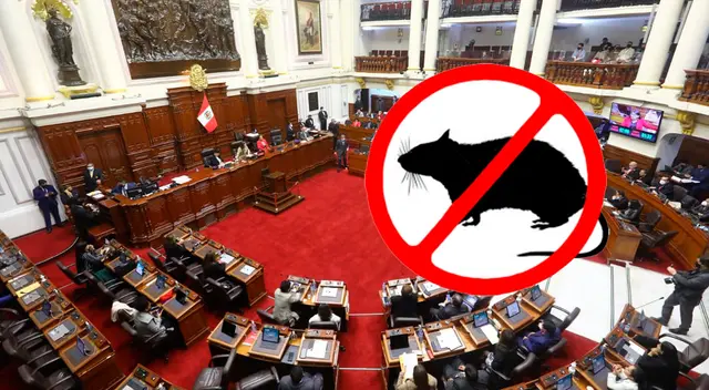 Anuncian desratización en el Congreso Anuncian desratización en el Congreso