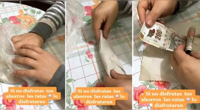 La mujer peruana contó cómo la rata destrozó sus ahorros dentro de su casa y se hizo tendencia en TikTok. La mujer peruana contó cómo la rata destrozó sus ahorros dentro de su casa y se hizo tendencia en TikTok.