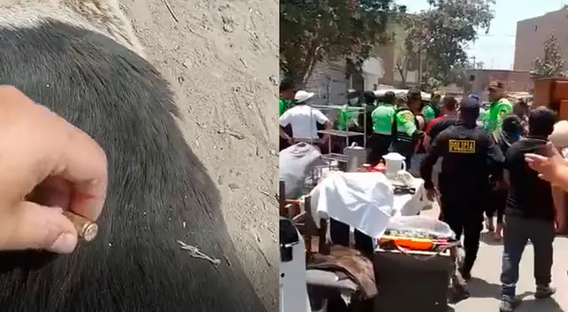 Vecinos piden justicia para "Negro", perrito que fue acribillado por la PNP