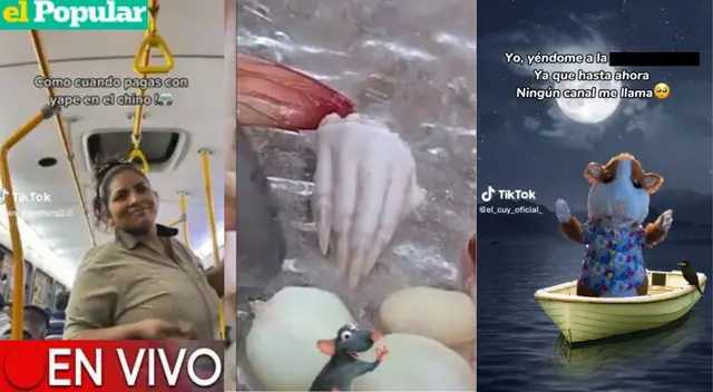 TikTok Video Viral EN VIVO: Conoce todos los vídeos que se han convertido en un éxito. TikTok Video Viral EN VIVO: Conoce todos los vídeos que se han convertido en un éxito.