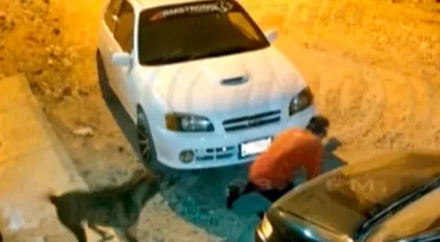 El sujeto se alejó rápidamente de la unidad y los dueños percataron del hecho. El sujeto se alejó rápidamente de la unidad y los dueños percataron del hecho.