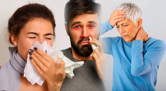 Conoce qué es el adenovirus Conoce qué es el adenovirus