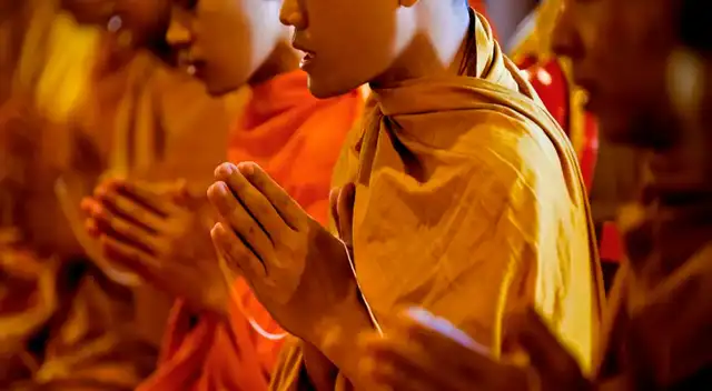 Los monjes fueron llevados a una clínica para la desintoxicación. Los monjes fueron llevados a una clínica para la desintoxicación.