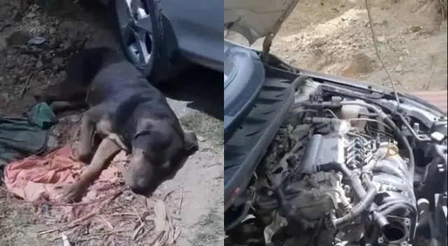 La familia afectada se dio con la ingrata sorpresa cuando intentaron abrir la puerta de su casa, que estaba trancada y atada.