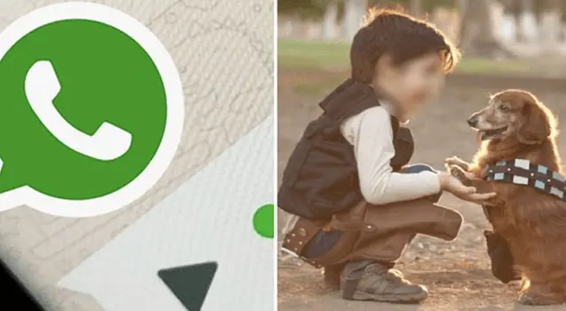 El clip cuenta con miles de reproducciones en TikTok. El clip cuenta con miles de reproducciones en TikTok.