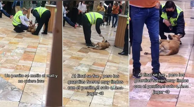 Los agentes de seguridad fueron a ver al perrito, pero terminaron dándole amor y son tendencia en TikTok.