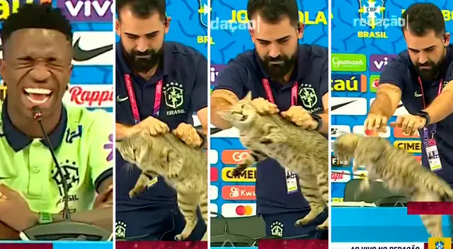 Vinicius estalló en risa al ver como tiraban al gato, pero las críticas no se hicieron esperar.