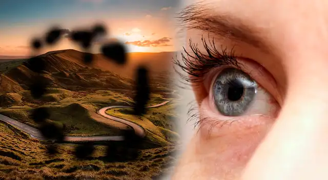 Conoce qué son las manchas negras que se reflejan en tu vista.