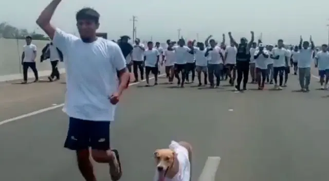 Liberan Panamericana Sur en compañía de la población. Liberan Panamericana Sur en compañía de la población.