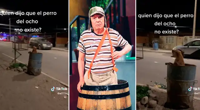 El Chavo del 8: perrito tiene la misma vida que el personaje.
