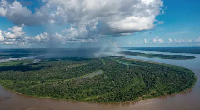 Presentan plan para revertir pérdida de biodiversidad en el mundo
