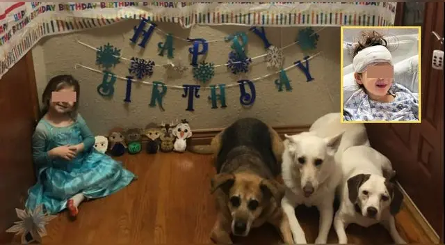 Delaney tiene cáncer cerebral terminal y sus seres queridos piden ayuda para su último cumpleaños. Delaney tiene cáncer cerebral terminal y sus seres queridos piden ayuda para su último cumpleaños.