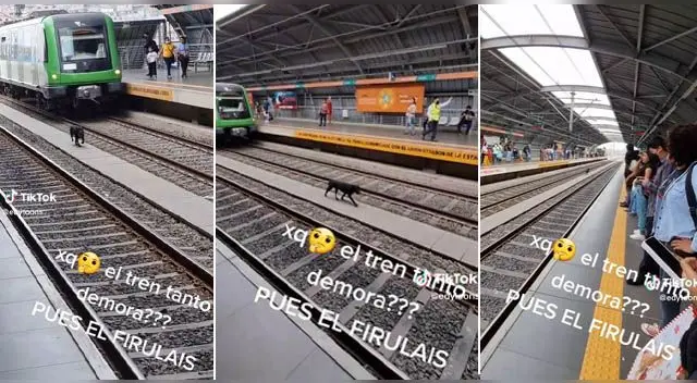 El inesperado momento se ha vuelto viral en las redes. El inesperado momento se ha vuelto viral en las redes.