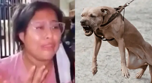 Madre de familia fue sorprendida por perro cuando salía de visitar a su abuela en Grocio Prado.