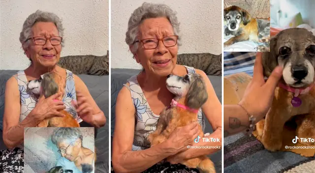 Señora se quebró por ver a su perrito. Señora se quebró por ver a su perrito.