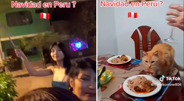 Gato hizo de las suyas mientras sus amos estaban viendo los juegos pirotécnicos. Gato hizo de las suyas mientras sus amos estaban viendo los juegos pirotécnicos.