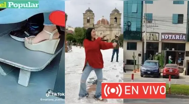 Estos los videos más virales de hoy. Estos los videos más virales de hoy.