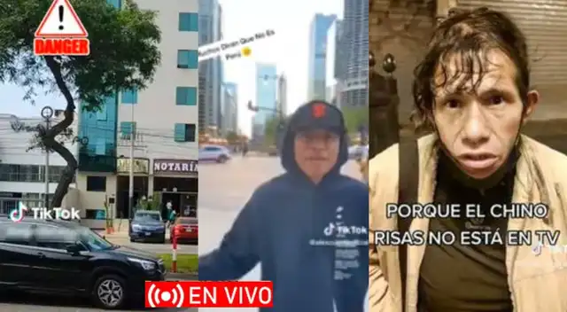 Estos fueron  son los videos más vistos en TikTok de hoy sábado 31 de diciembre de 2022.