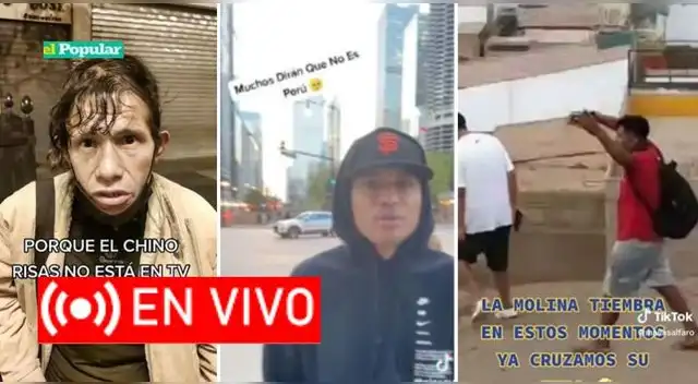 Imperdible. Estos son los videos virales en TikTok más vistos de hoy 1 de enero de 2023.