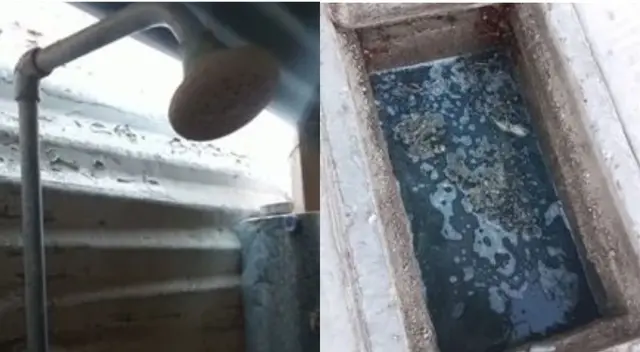 Los vecinos contaron que el olor es insoportables, pues el problema viene desde el pasado noviembre del 2022 y tuvieron que pasar fiestas con esta peste. Los vecinos contaron que el olor es insoportables, pues el problema viene desde el pasado noviembre del 2022 y tuvieron que pasar fiestas con esta peste.