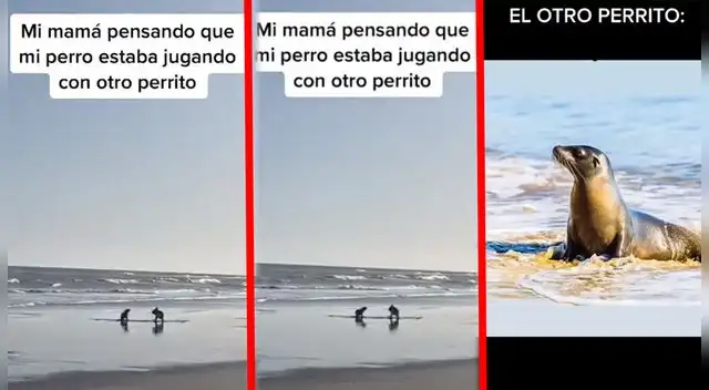 El video acumuló más de 2 millones de visualizaciones en TikTok. El video acumuló más de 2 millones de visualizaciones en TikTok.