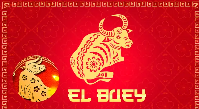 Conoce lo que le deparará en el futuro a El Buey. Conoce lo que le deparará en el futuro a El Buey.