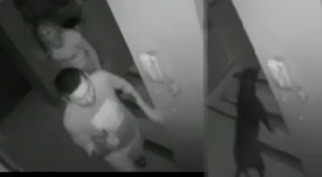 Delincuentes que ingresaron a robar a vivienda en Independencia Delincuentes que ingresaron a robar a vivienda en Independencia