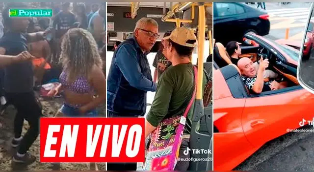 Estos son los mejores videos virales que están en tendencia en las redes sociales.