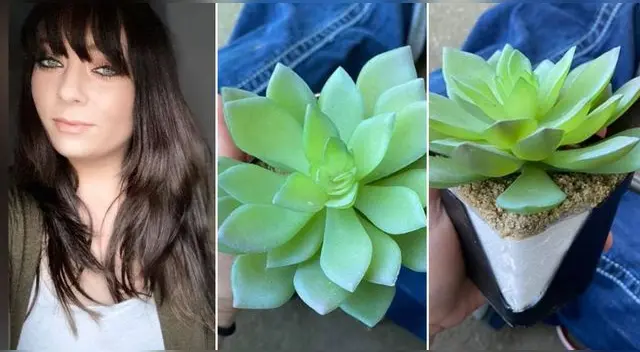 Caelie Wilkes se llevó una gran decepción al descubrir que la suculenta que cuidó por dos años era de plástico.