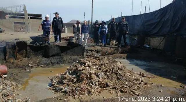 Fiscalía realiza operativo en una planta ilegal de procesamiento de alimentos marinos Fiscalía realiza operativo en una planta ilegal de procesamiento de alimentos marinos
