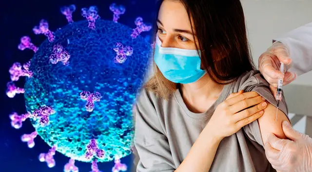 Conoce más sobre la inmunidad híbrida contra el Covid-19. Conoce más sobre la inmunidad híbrida contra el Covid-19.