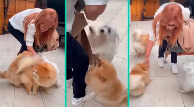 Magaly Medina retornará a las pantallas este lunes 23 de enero.