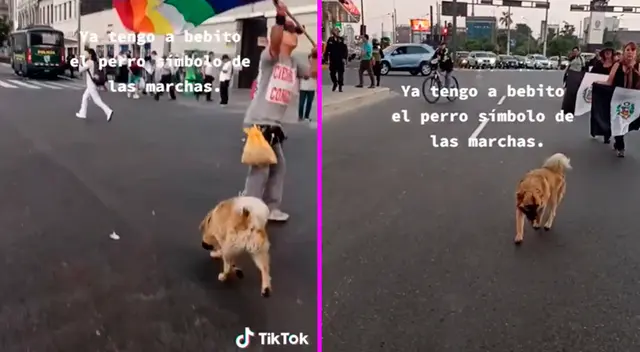 Bebito acompañaba a los manifestantes en las calles de Lima.