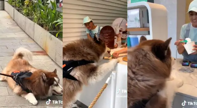 Los trabajadores de la heladería lo ayudaron para que se coma su porción. Los trabajadores de la heladería lo ayudaron para que se coma su porción.