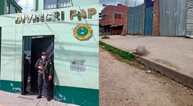 Policía investiga las razones del crimen.