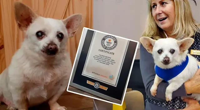 Spike, de 23 años, junto a su certificado Guinness World Record.