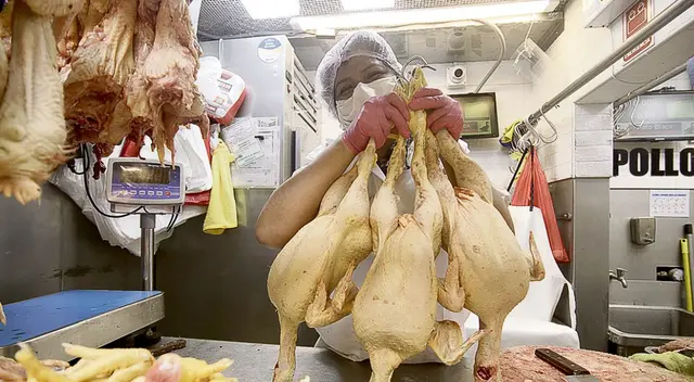 En la parte de Majes y en Alto Siguas o en La Joya, lugar donde se encuentran las granjas, no hay producción de este animal. En la parte de Majes y en Alto Siguas o en La Joya, lugar donde se encuentran las granjas, no hay producción de este animal.