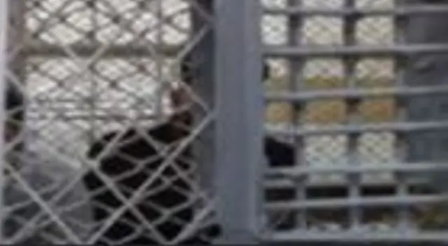 Condenan al profesor Juan José Rodríguez Cabanillas por abusar de una escolar en el Callao Condenan al profesor Juan José Rodríguez Cabanillas por abusar de una escolar en el Callao