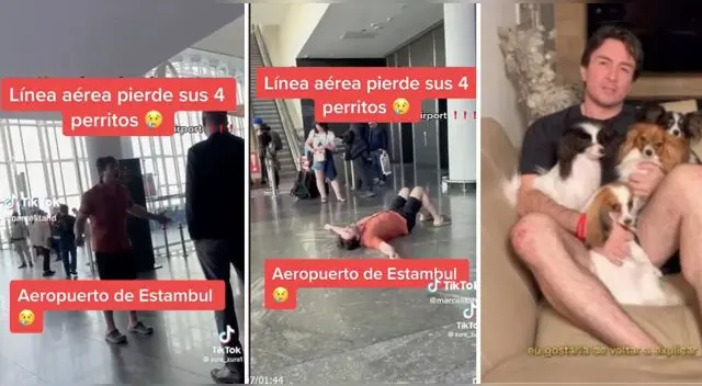 El conmovedor momento tuvo un final feliz. El conmovedor momento tuvo un final feliz.