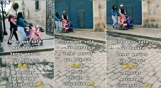 Los perritos iban felices en los coches de bebés junto a sus mamás humanas y escena es viral en TikTok.