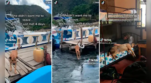 Video ya ha superado los 8 millones de reproducciones en redes.